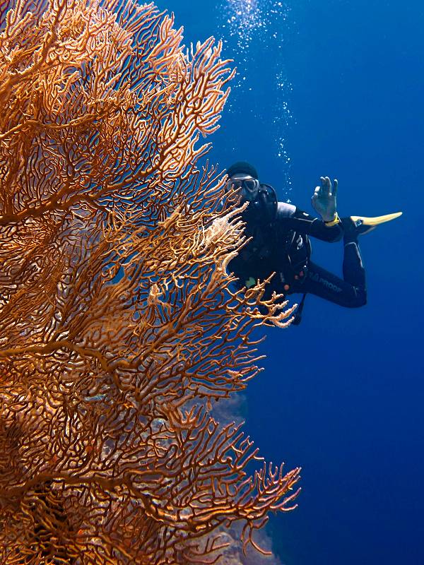 Hurghada kurz potápění